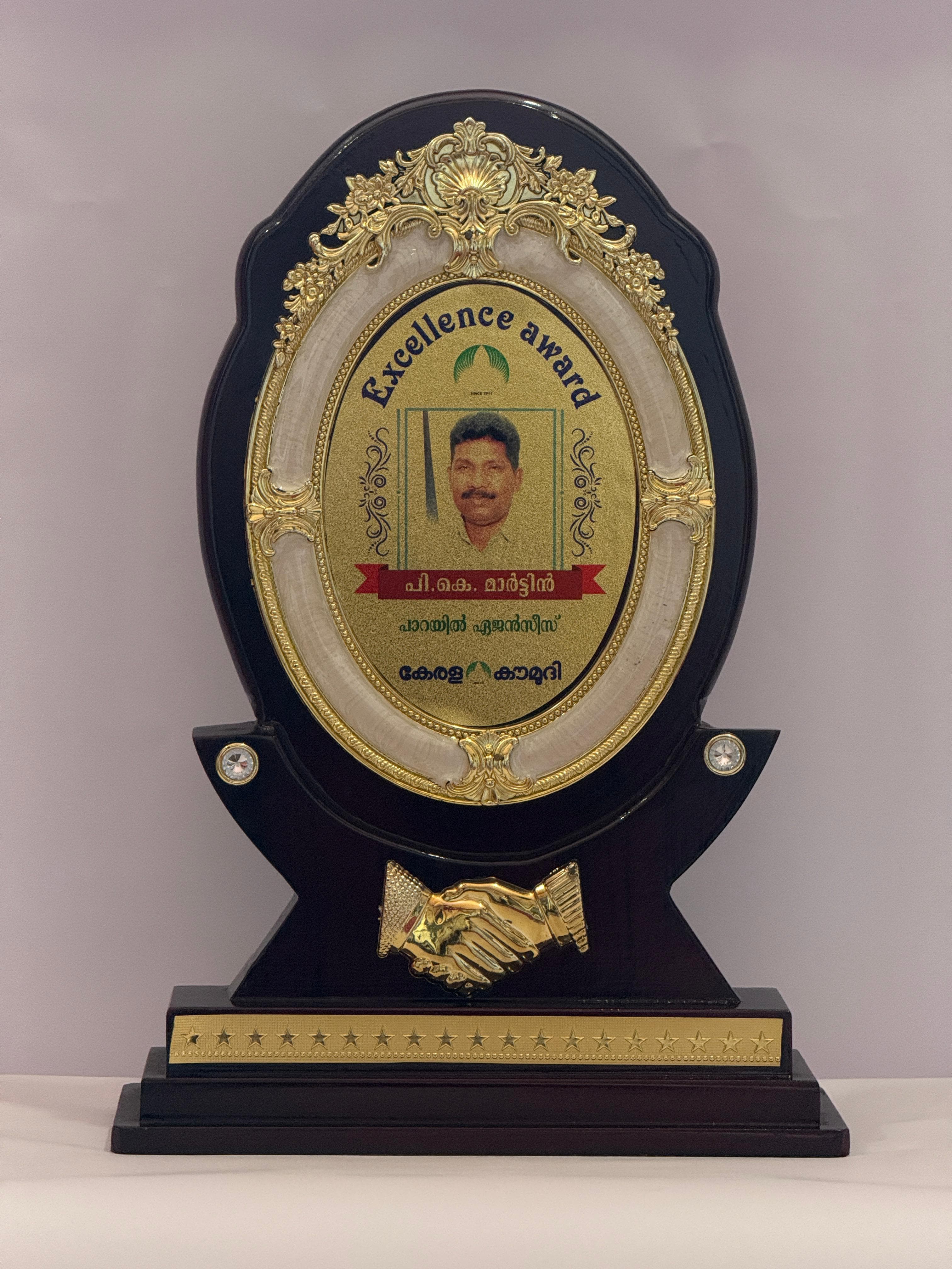 Excellence Award — P. K. Martin