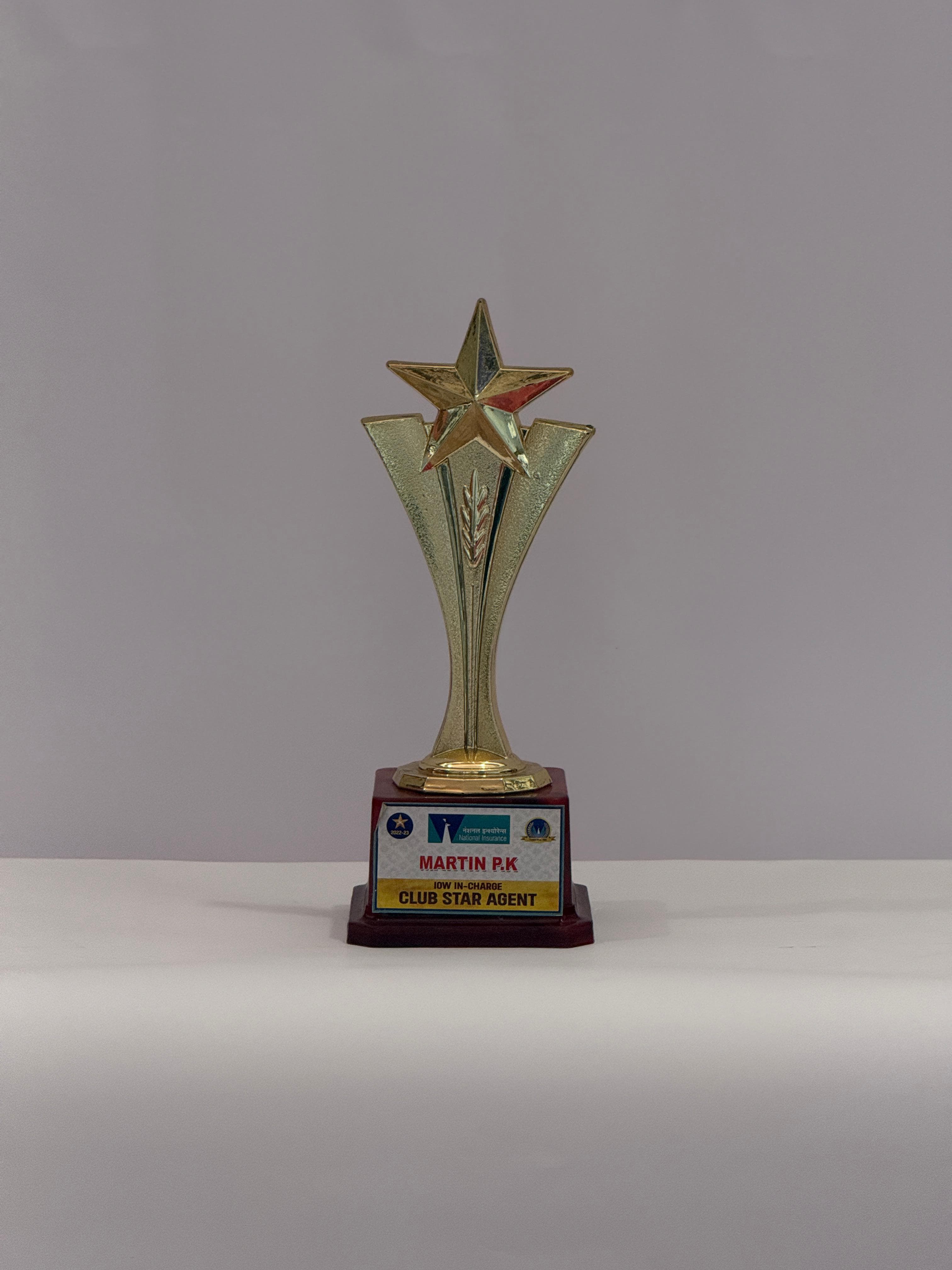 Club Star Agent — IOW In-charge